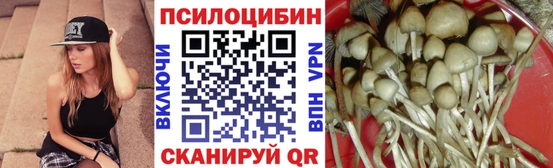 Псилоцибиновые грибы Psilocybe где можно купить наркотик Щёкино
